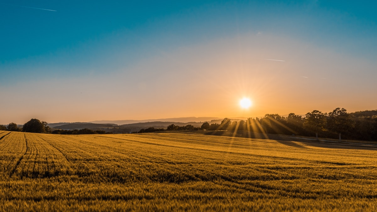 The future of agriculture: Agriculture 5.0